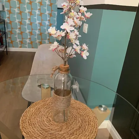 Savi Metro B S Paolo Guest house 4*